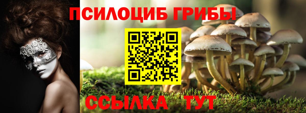 Галлюциногенные грибы ЛСД  Вход с VPN  Заволжье 